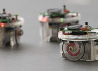 Desarrollan un software inspirado en insectos que haría más sociables a los robots
